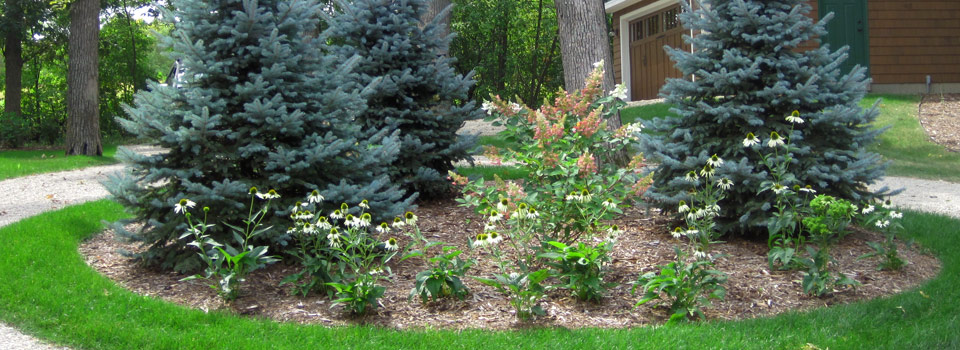 Bed in Center of Driveway