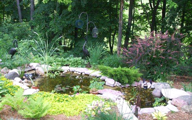 pond