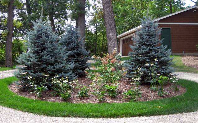 bed in center of driveway